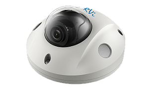 Видеокамера RVi-2NCF2048 (6) купольная уличная
